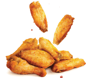 PLAIN WINGS